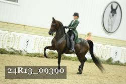 24R13_09390 thumbnail