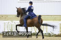 24R13_09396 thumbnail