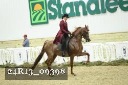 24R13_09398 thumbnail