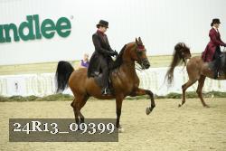 24R13_09399 thumbnail