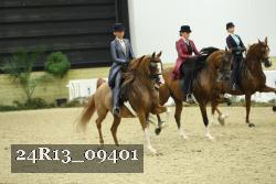 24R13_09401 thumbnail