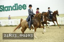 24R13_09403 thumbnail