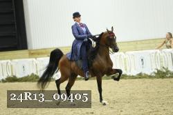 24R13_09405 thumbnail