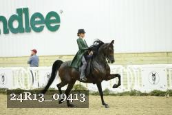 24R13_09413 thumbnail