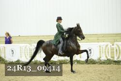 24R13_09414 thumbnail