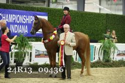24R13_09436 thumbnail