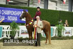 24R13_09437 thumbnail