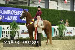 24R13_09439 thumbnail