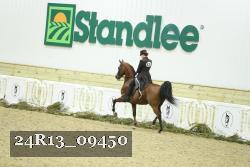 24R13_09450 thumbnail