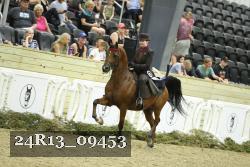 24R13_09453 thumbnail