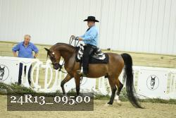 24R13_09500 thumbnail