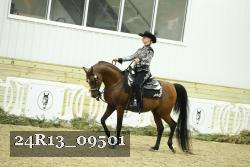 24R13_09501 thumbnail