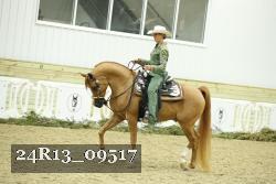 24R13_09517 thumbnail