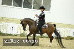 24R13_09520 thumbnail