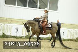 24R13_09528 thumbnail