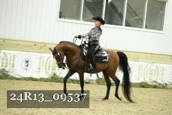 24R13_09537 thumbnail