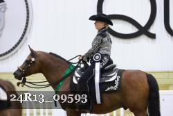 24R13_09593 thumbnail