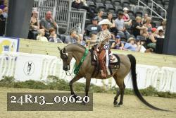24R13_09620 thumbnail