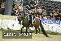 24R13_09628 thumbnail