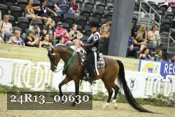 24R13_09630 thumbnail