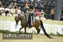 24R13_09631 thumbnail