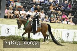 24R13_09634 thumbnail