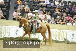 24R13_09640 thumbnail