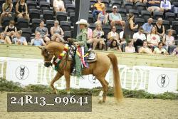 24R13_09641 thumbnail