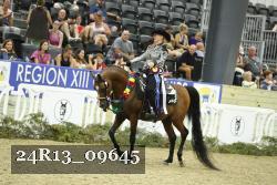 24R13_09645 thumbnail