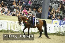 24R13_09648 thumbnail