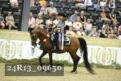 24R13_09650 thumbnail