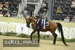 24R13_09654 thumbnail