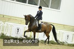24R13_09670 thumbnail