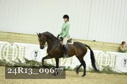 24R13_09677 thumbnail