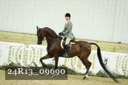 24R13_09690 thumbnail