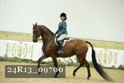 24R13_09700 thumbnail