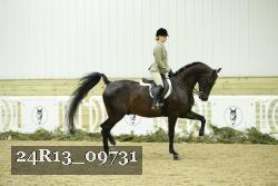 24R13_09731 thumbnail