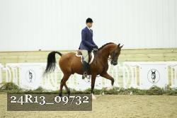 24R13_09732 thumbnail