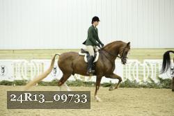 24R13_09733 thumbnail