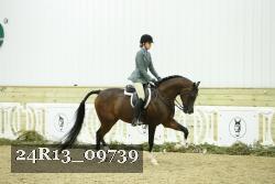 24R13_09739 thumbnail