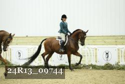 24R13_09744 thumbnail