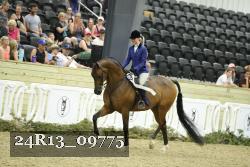 24R13_09775 thumbnail