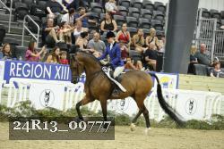 24R13_09777 thumbnail