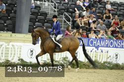 24R13_09778 thumbnail