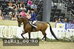 24R13_09780 thumbnail