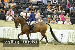 24R13_09781 thumbnail