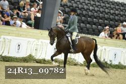 24R13_09782 thumbnail