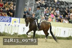 24R13_09783 thumbnail