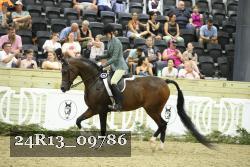 24R13_09786 thumbnail
