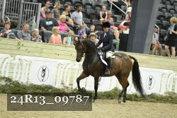 24R13_09787 thumbnail